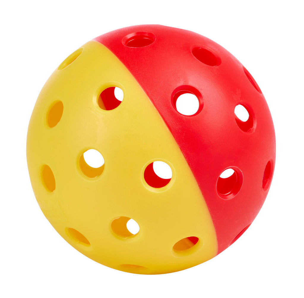 Monarch Training Pickleball