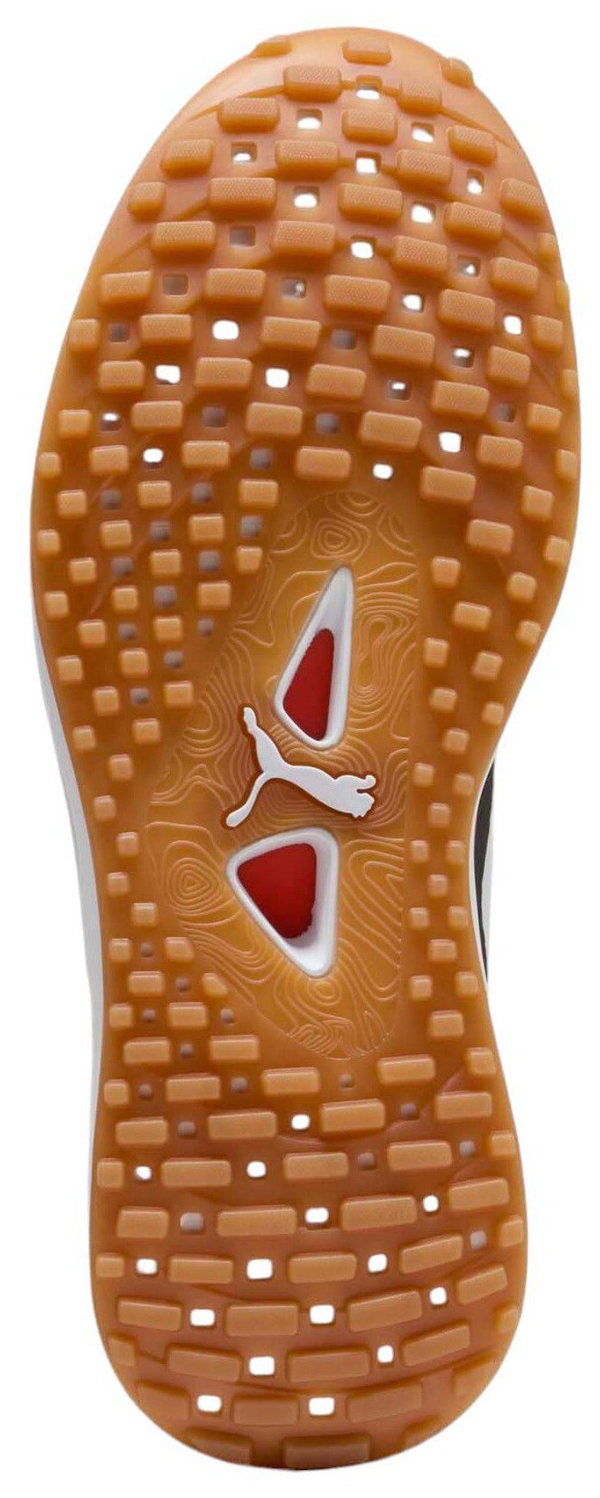 PUMA Men's Ignite Elevate X Golf Shoes